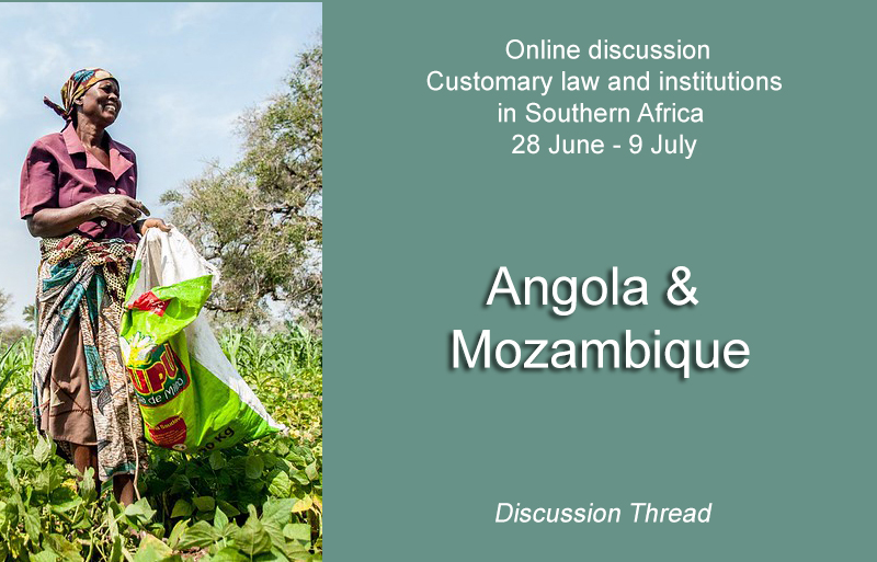 Angola & Mozambique - Online discussion on customary law - 28 June - 9 July