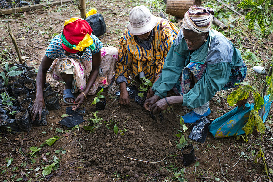 land reform africa