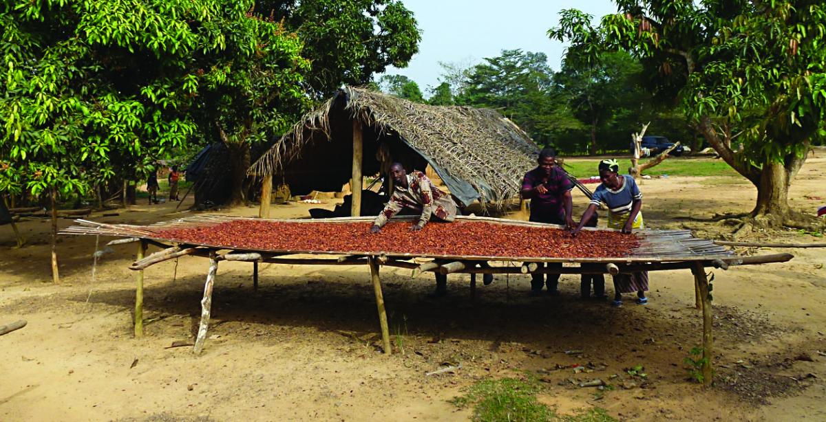 6_days_drying_in_the_sun_-_good_agricultural_practices.jpg