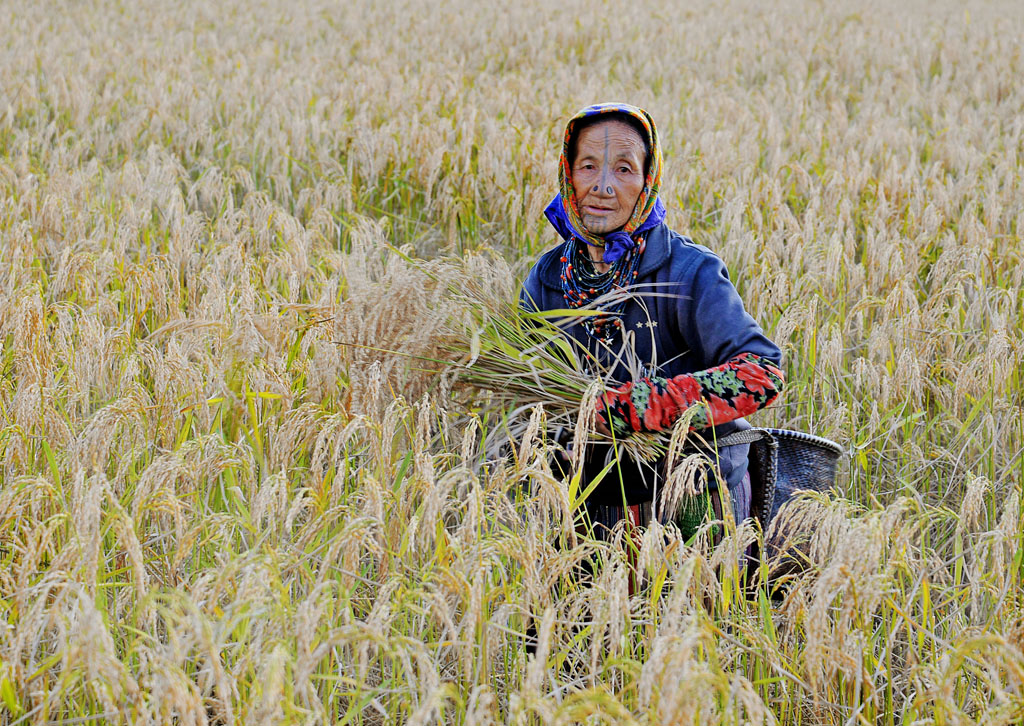 Global Landscapes Forum