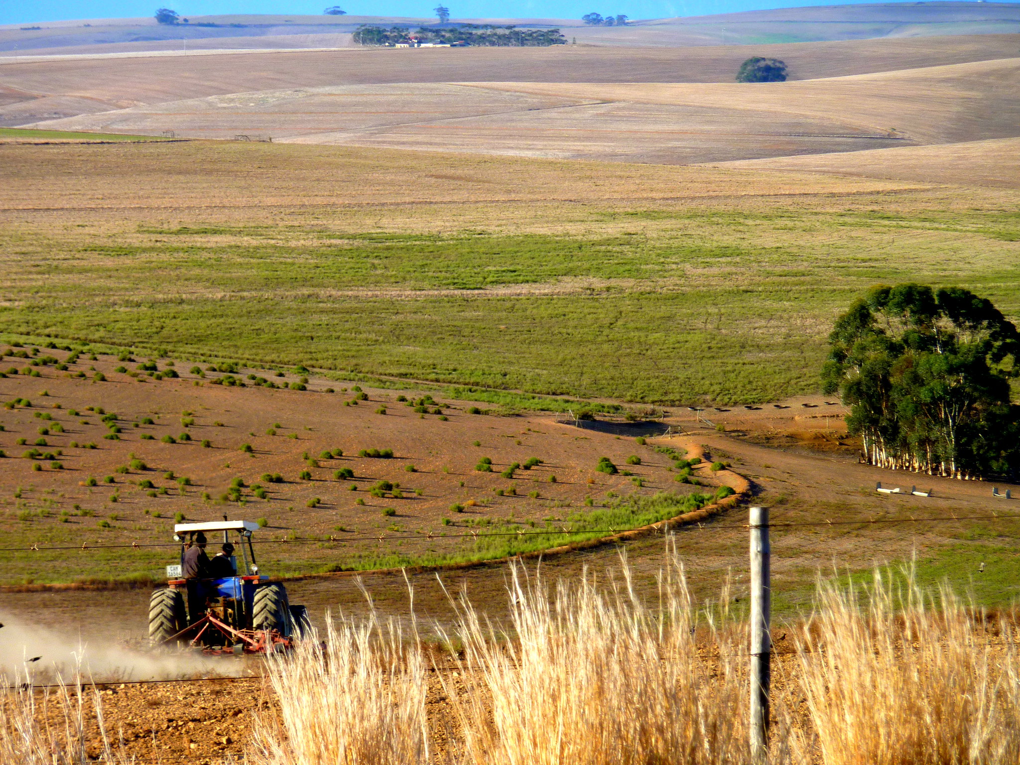 Ploughing The Fields of Fall - Western Cape - South Africa_photo by Christopher Griner_FLICKR creative commons