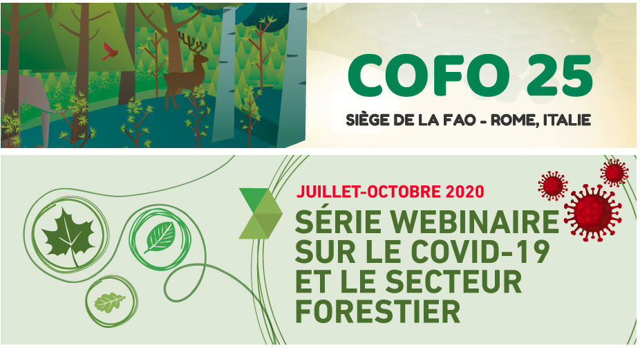 webinar forest