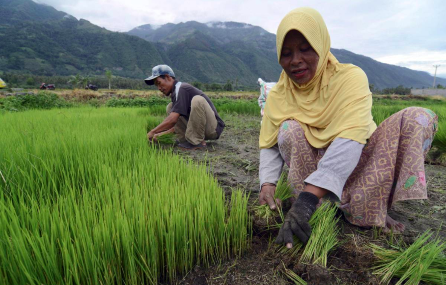 The Food Systems Summit must shore up land rights for small farmers for global food security