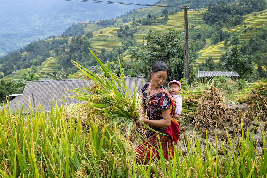 Vietnam (credit: Thinh Hoang Hai)