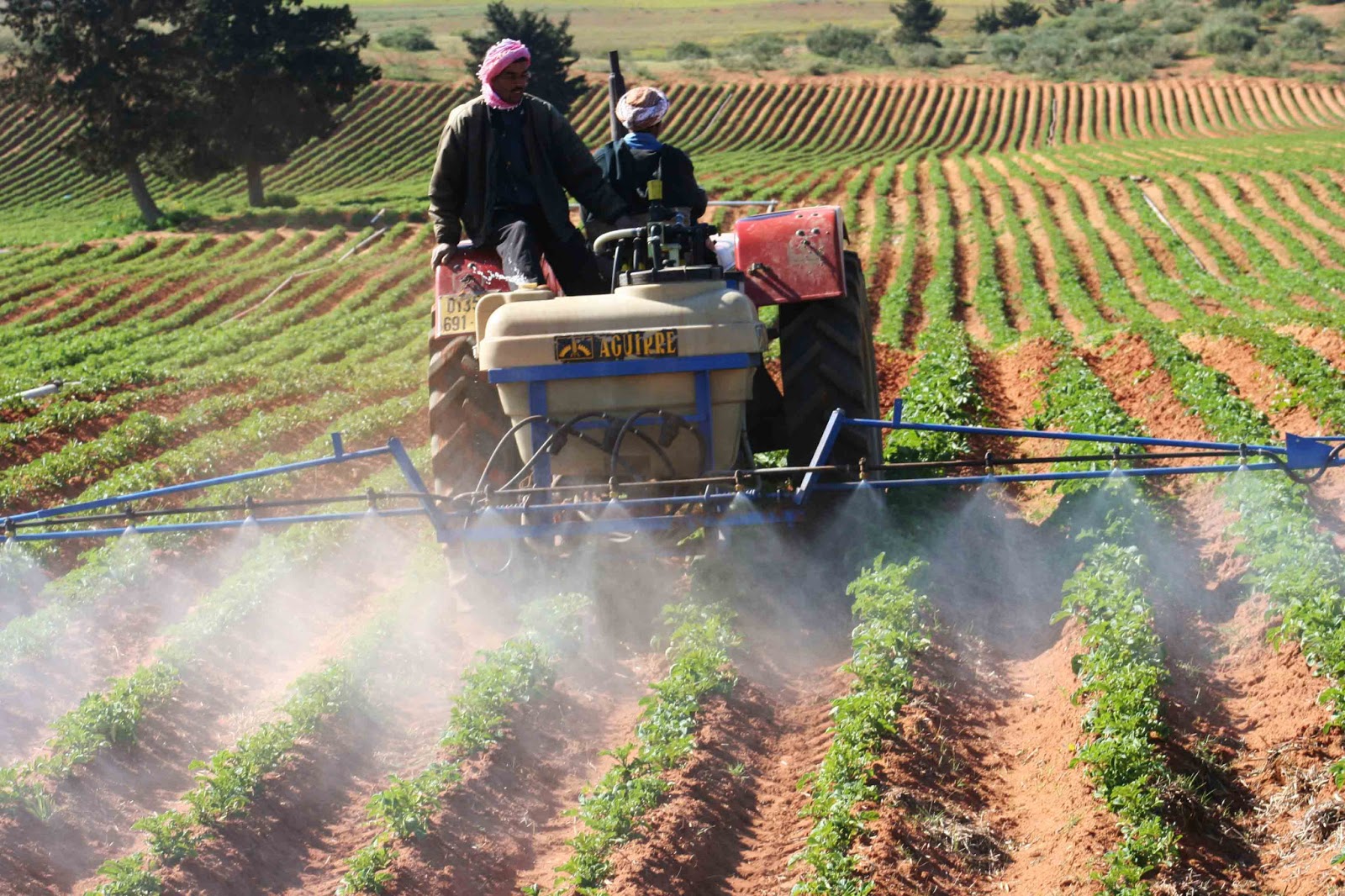 agriculture-algérienne.jpg