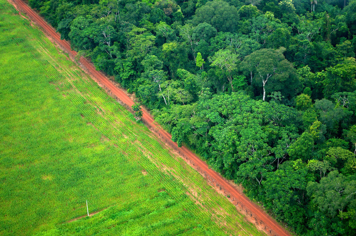 Deforestation in Brazil