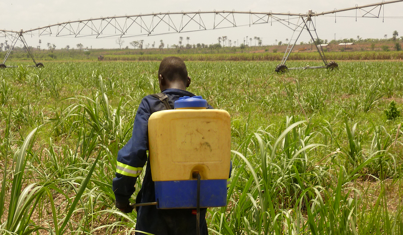 Land grabs in Africa