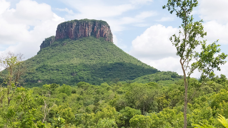 Cerro Guazu,by Samuel Auguste,2016