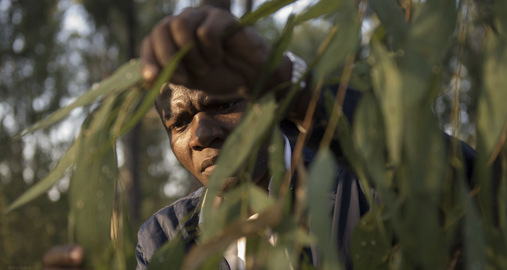 Cover photograph: Bulawayo, Zimbabwe. © FAO/Zinyange Auntony.