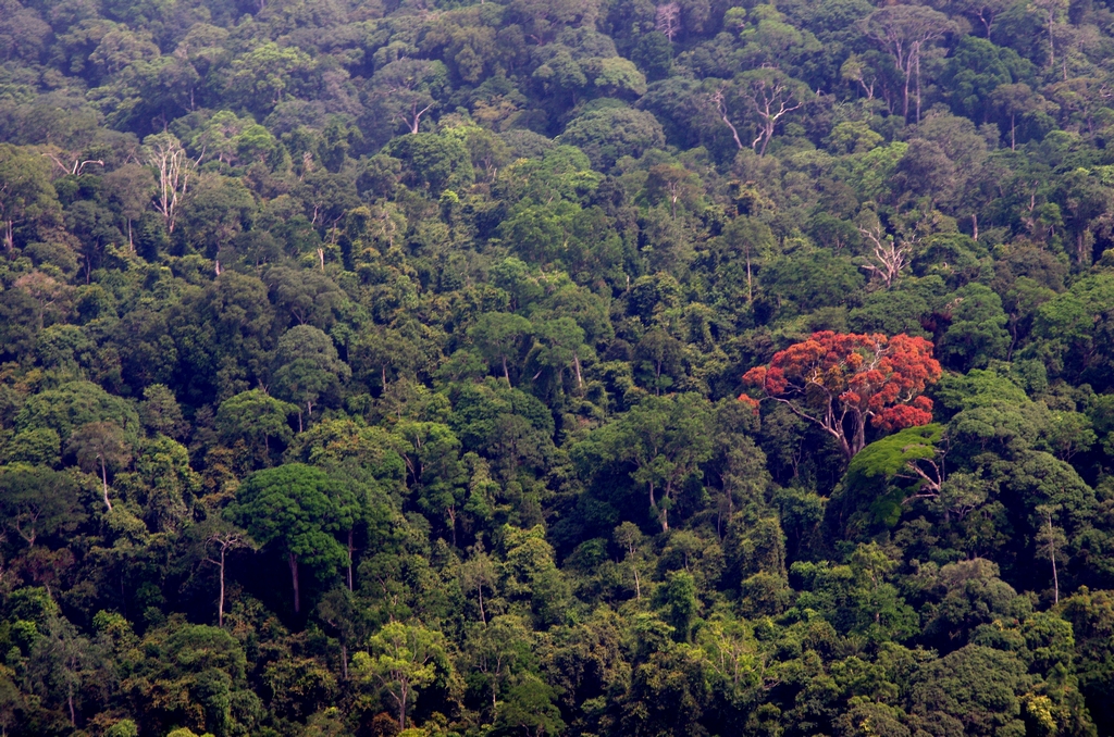 Gabon-751.jpg