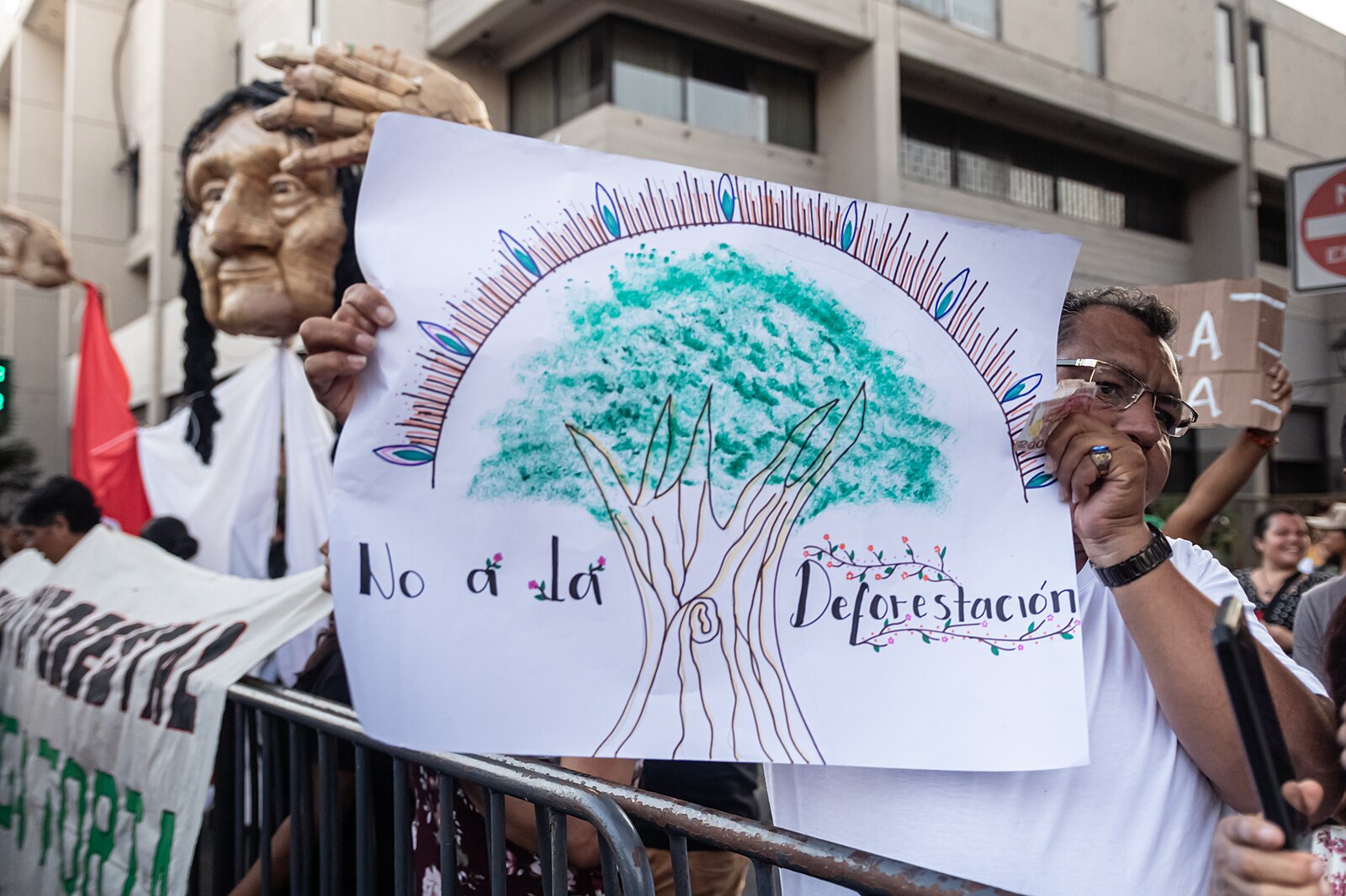 Protestas por Ley antiforestal