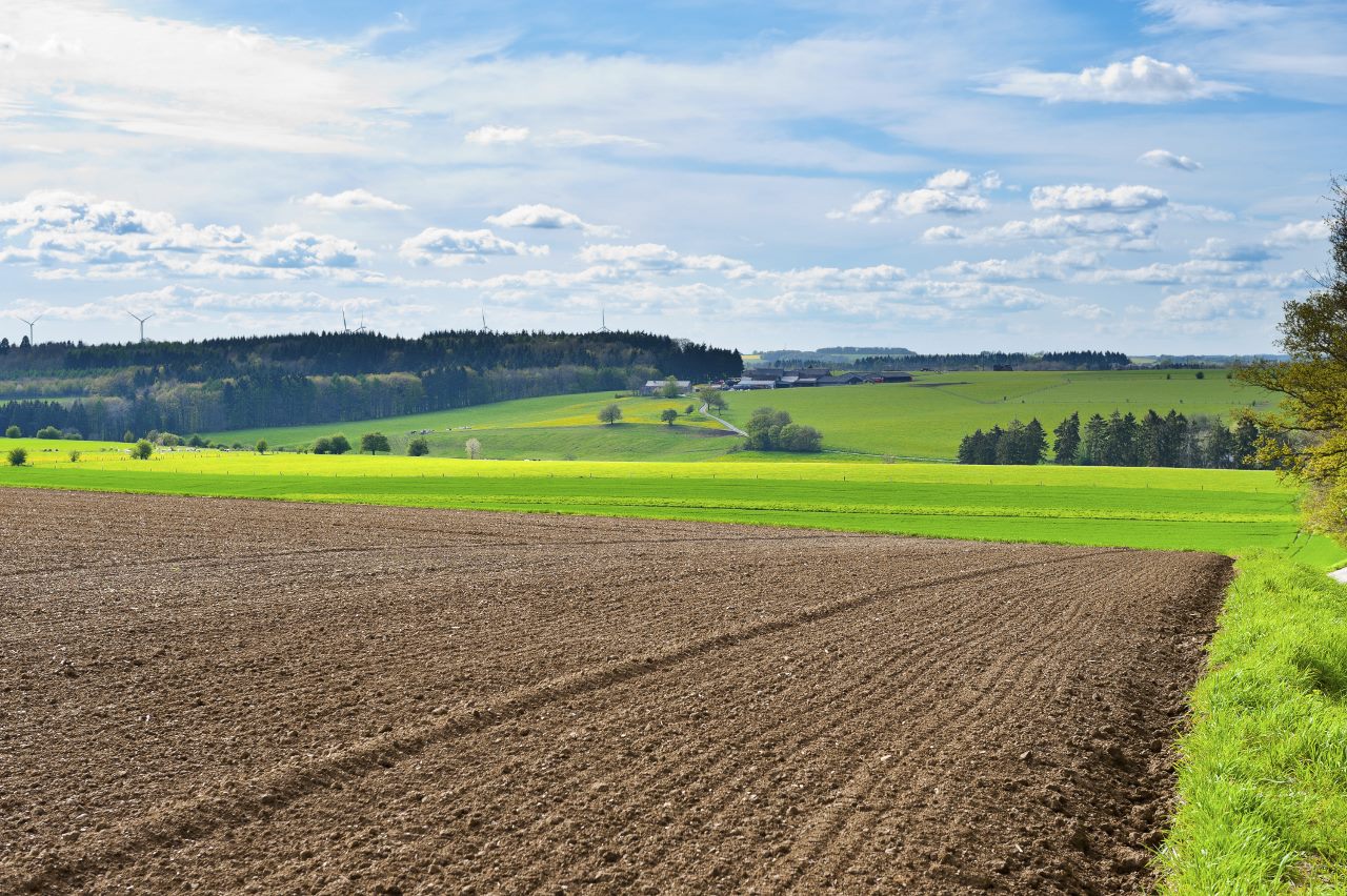 accaparement-des-terres-agricoles.jpg