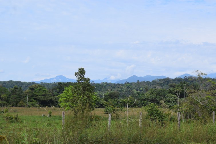 Arquivo dos indígenas Awá