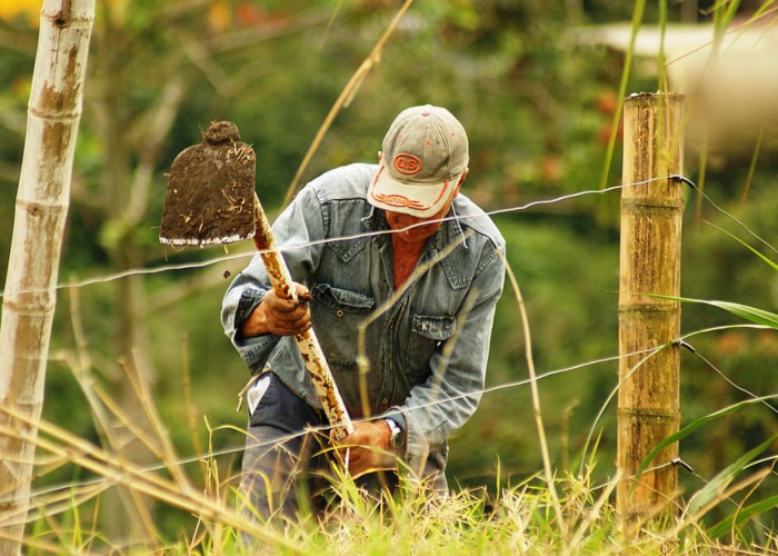 Repensar el desarrollo desde lo rural