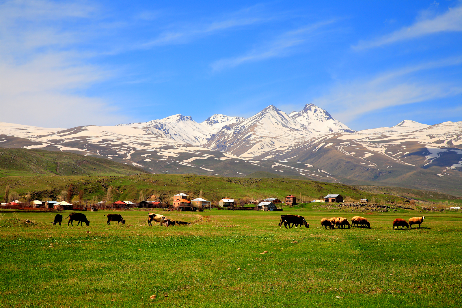 Pastures next to Aragats mountain, photo by Alexander Mkhitaryan B, Creative Commons Attribution-Share Alike 3.0 Unported license.
