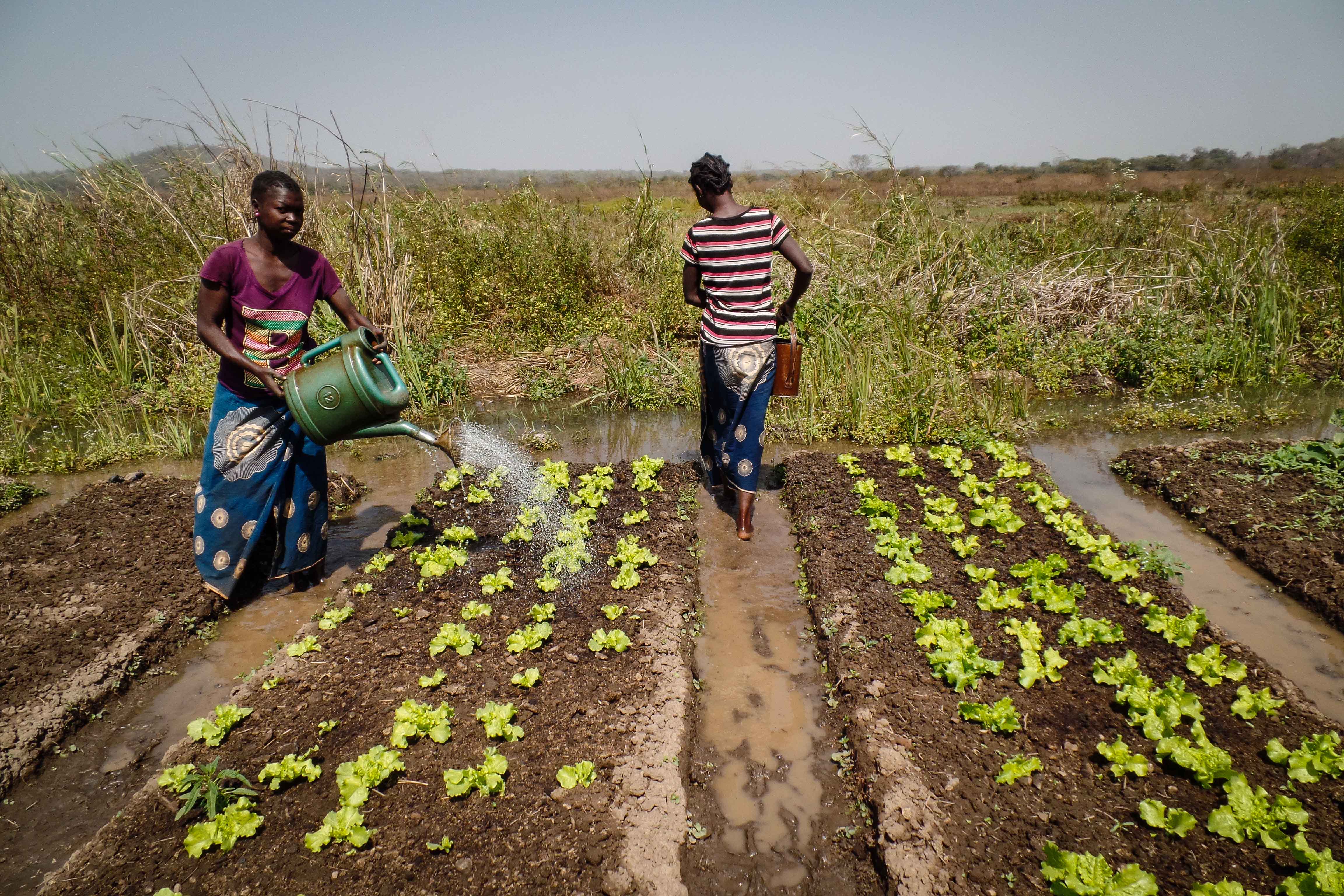 Femmes arrosant un jardin, photographie par European External Action Service (CC BY-NC 2.0)