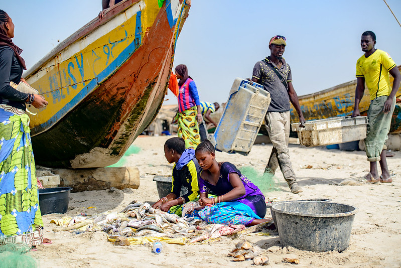 Photo 5 Incoming fishermen, 2016 ,Photo by ,Frans Peeters , (CC BY-NC-ND 2.0)