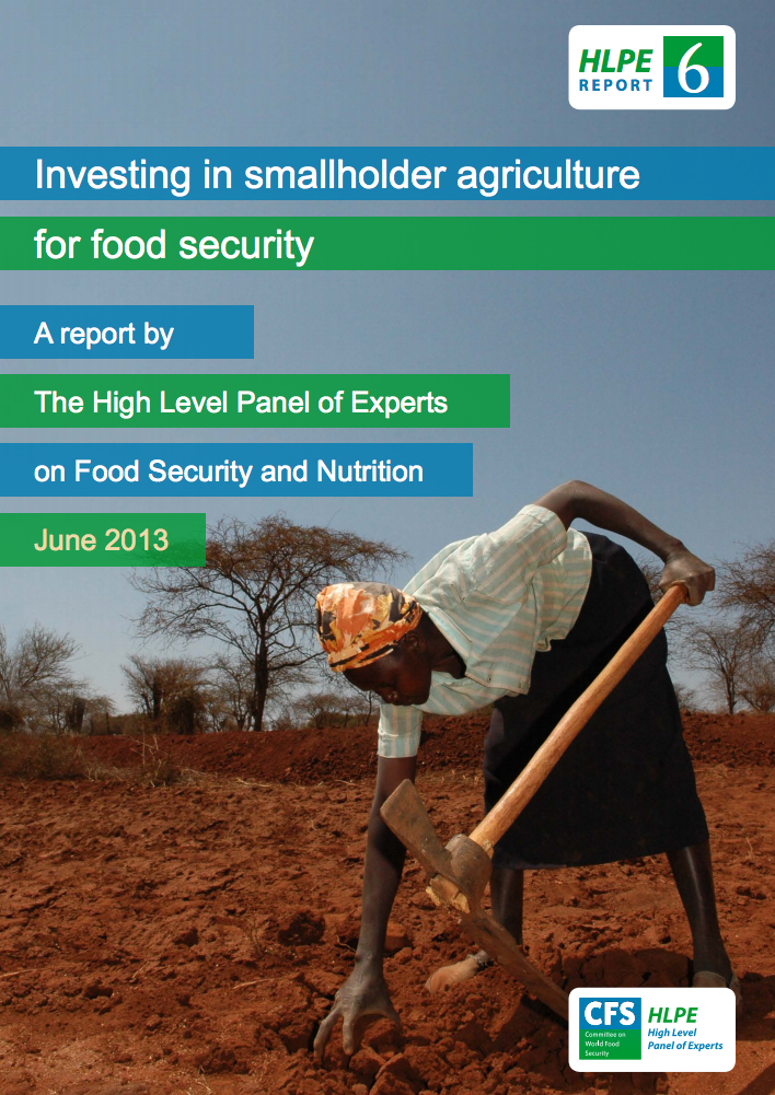 Investing in Smallholder Agriculture for Food Security cover image