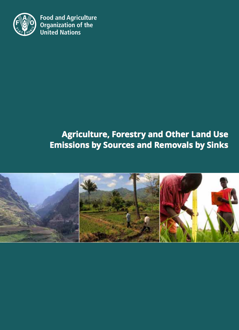 Agriculture, forestry and other land use emissions by sources and removals by sinks cover image