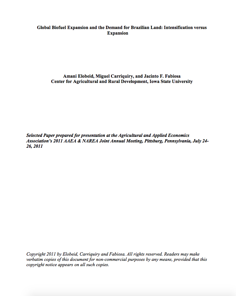 Global biofuel expansion and the demand for Brazilian land: intensification versus expansion cover image