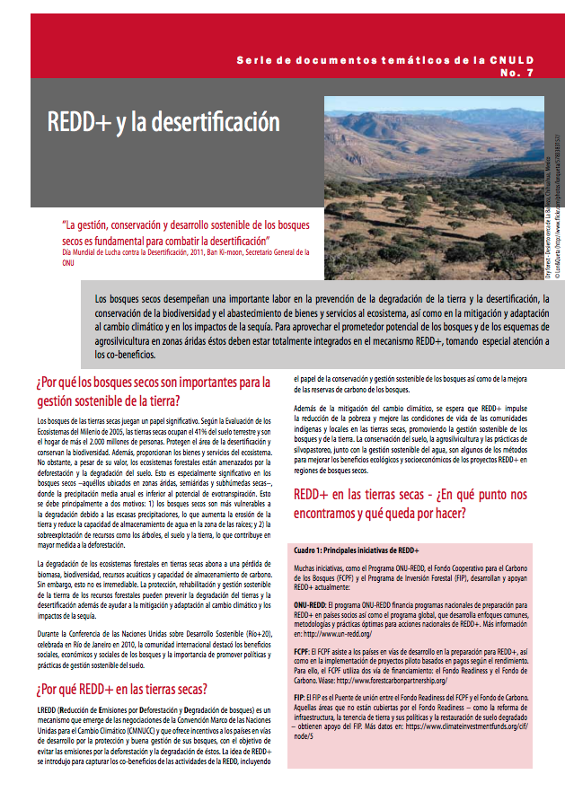 REDD+ y la desertificación  cover image