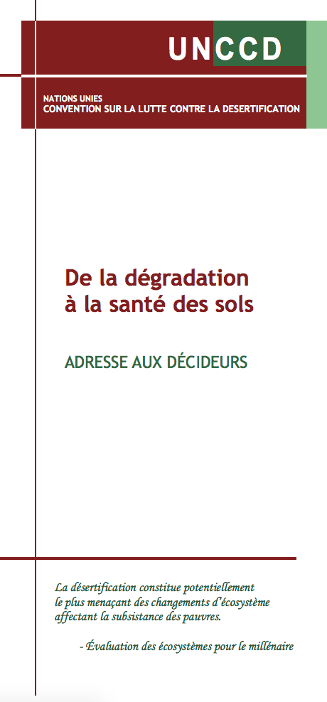 De la dégradation à la santé des sols cover image