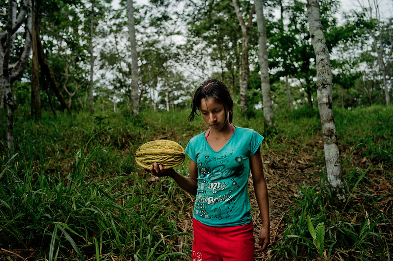 Foto: Tomas Munita/CIFOR/Flickr