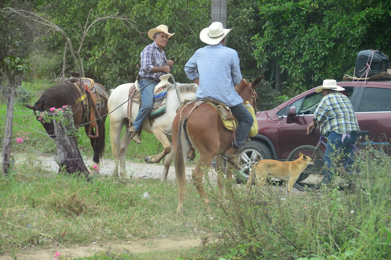 Defensores de Tierra y Territorio bajo ataque en Honduras