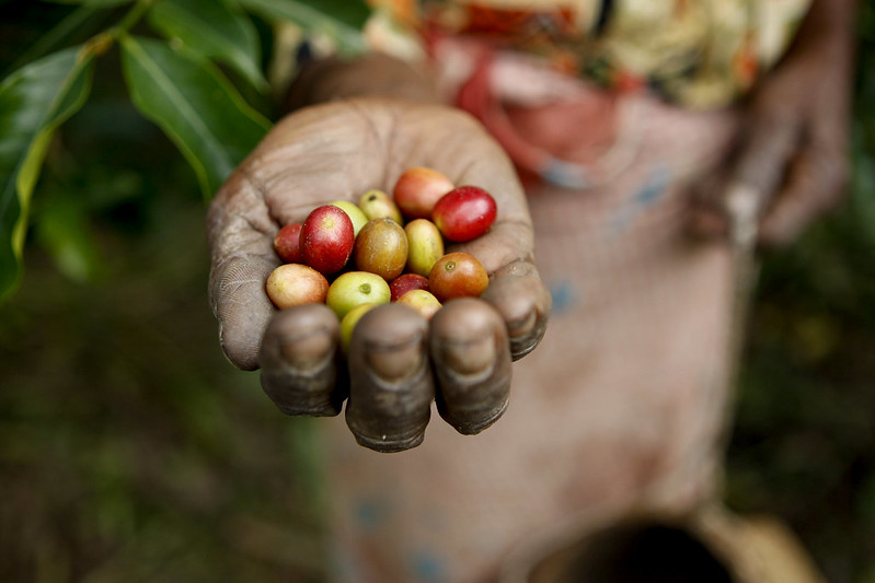 Foto: Martine Perre/UN Photo/Flickr