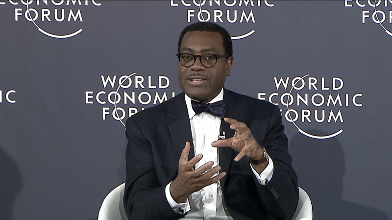  Le potentiel de l’Afrique est indéniable, mais nul ne se nourrit de potentiel… Nous devons libérer ce potentiel », a déclaré le président du Groupe de la Banque africaine de développement, M. Akinwumi Adesina (Source: African Development Bank Group (AfDB