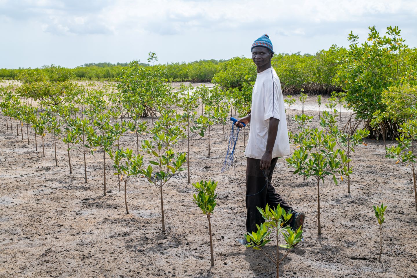 ©FIDA/Ibrahima Kebe Diallo