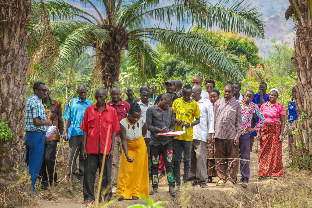 Burundi Amahoro taken by Mark Williams Wasswa