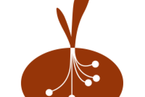BICAS logo