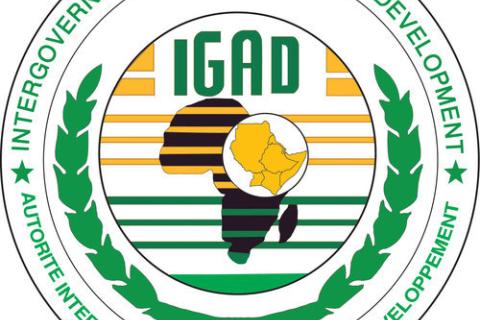 IGAD-logo.jpg