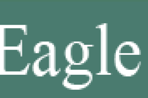 Eagle Hill Institute logo