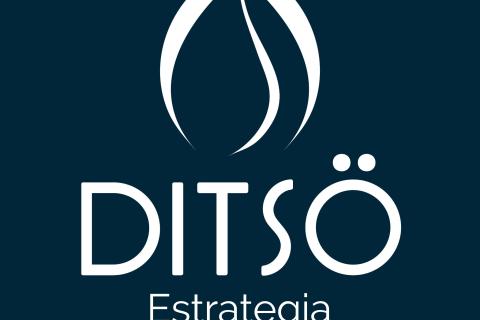 ditso logo.jpg