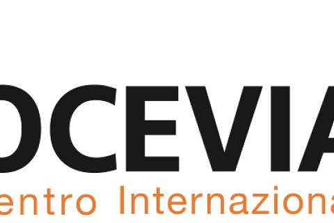 Centro Internazionale Crocevia 