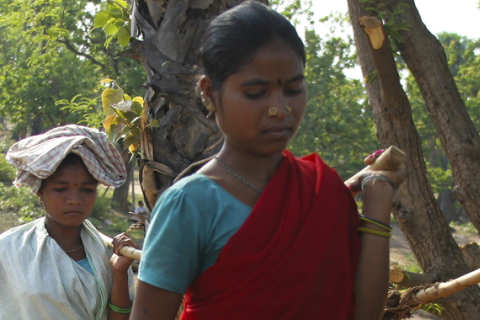 Women’s struggle for land in South Asia