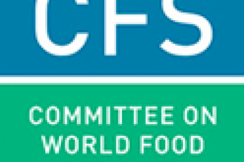 CFS logo