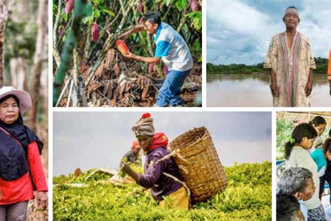 Global Landscapes Forum Bonn 2019 cover image