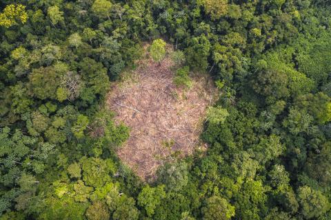 Shifting cultivation in forested area. Photo by Axel Fassio, CIFOR, CC BY-NC-ND 2.0 license