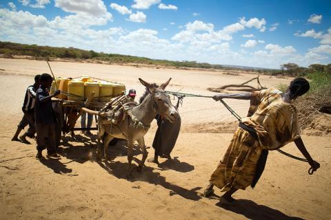 Drought in Kenya's Ewaso Ngiro river basin, photo by Water Alternatives Photos (CC BY-NC 2.0) 