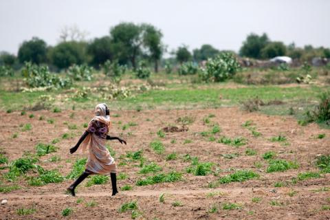 Land governance country profile for Sudan