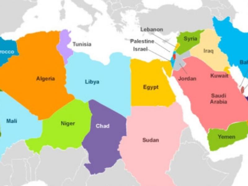 Middle East and North Africa (MENA)