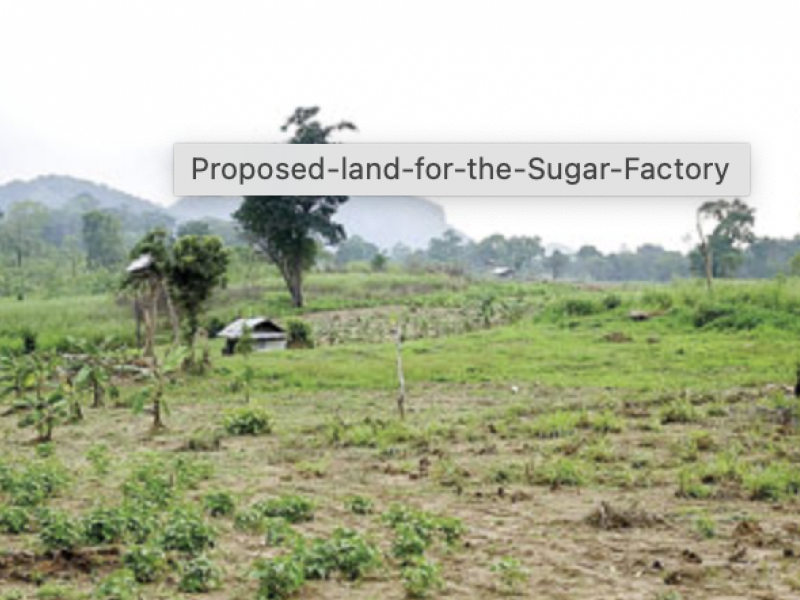 Proposed site for the sugar factory