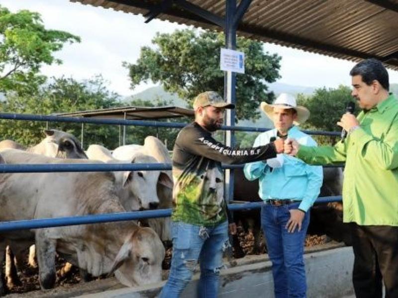 El jefe de estado sostuvo que "se consolida la producción del campo venezolano, que satisfaga las necesidades nacionales y la exportación, que generará riquezas para el país". | Foto: @NicolasMaduro
