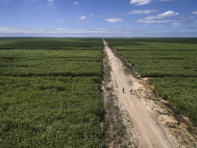 LAND-at-scale Mozambique Scaling community legal literacy, land rights certification and climate resilience
