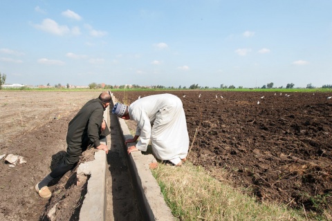 Egypt irrigation