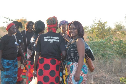 Matrilineal Ownership, Patrilineal Access And Control: The Zambian Land Story.