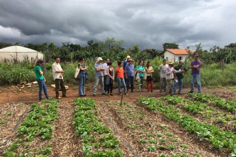 Trabalho de campo do projeto Transição Produtiva e Serviços Ambientais, da Embrapa Cerrados Luciano Mattos